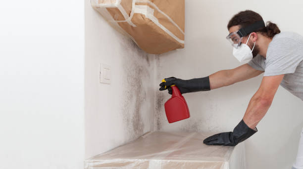 Professional Bathroom Mold Removal technician working in Harrington Park, NJ