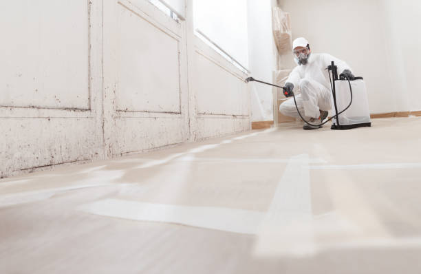24/7 Emergency Bathroom Mold Removal experts in Harrington Park, NJ